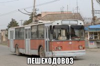  пешеходовоз