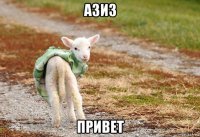 азиз привет