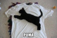  puma