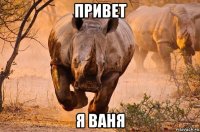 привет я ваня