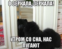 о зеркала, зеркала! утром со сна, нас пугают