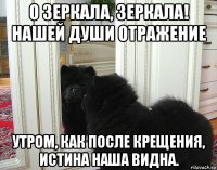 о зеркала, зеркала! нашей души отражение утром, как после крещения, истина наша видна.