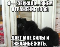 я — зеркало... в нём отражение твоё! даёт мне силы и желанье жить.