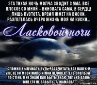 эта тихая ночь молча сводит с ума. все плохое со мной – виновата сама. в сердце лишь пустота. время жмет на виски. разлетелась вчера жизнь моя на куски... сложно выдумать путь, рассчитать все навек, и уже не со мной милый мой человек. тень скользит по стене, я не знаю как быть. знаю только одно: мне его не забыть.. а. мамаева