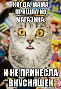 когда, мама пришла из магазина, и не принесла вкусняшек