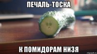 печаль-тоска к помидорам низя