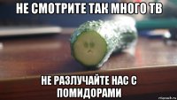 не смотрите так много тв не разлучайте нас с помидорами