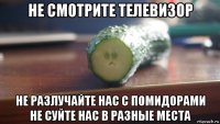 не смотрите телевизор не разлучайте нас с помидорами не суйте нас в разные места