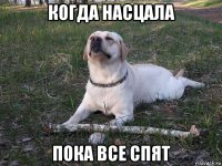когда насцала пока все спят