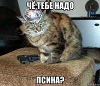 чё тебе надо псина?