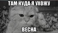 там куда я ухожу весна