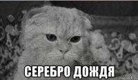  серебро дождя