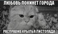 любовь покинет города расправив крылья листопада