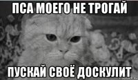 пса моего не трогай пускай своё доскулит