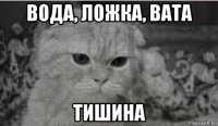 вода, ложка, вата тишина