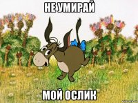 не умирай мой ослик