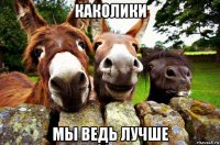 каколики мы ведь лучше
