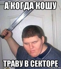 а когда кошу траву в секторе