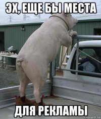 эх, еще бы места для рекламы