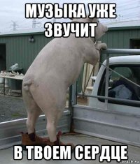 музыка уже звучит в твоем сердце