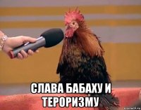  слава бабаху и тероризму