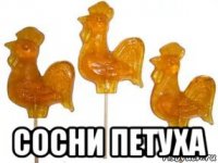  сосни петуха