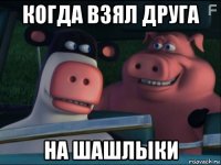 когда взял друга на шашлыки