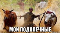  мои подопечные