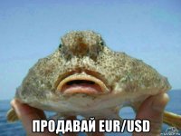  продавай eur/usd