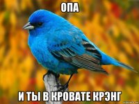 опа и ты в кровате крэнг