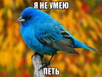 я не умею петь