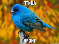 птица крэнг