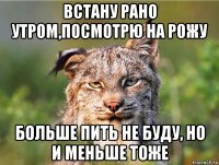 встану рано утром,посмотрю на рожу больше пить не буду, но и меньше тоже