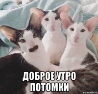  доброе утро потомки