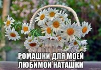  ромашки для моей любимой наташки