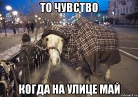 то чувство когда на улице май
