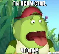 ты псом стал, что ли?