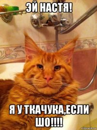 эй настя! я у ткачука,если шо!!!!