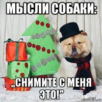 мысли собаки: ,,снимите с меня это!''
