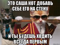 это саша кот добавь себе его на стену и ты будешь ходить всегда первым