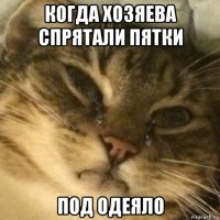 когда хозяева спрятали пятки под одеяло