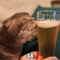  48