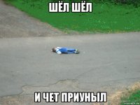 шёл шёл и чет приуныл