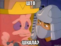 што шкала?