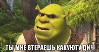 ты мне втераешь какуюту дич