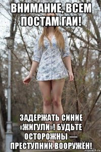 внимание, всем постам гаи! задержать синие «жигули»! будьте осторожны — преступник вооружён!