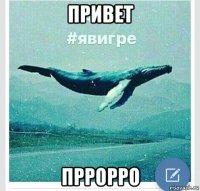 привет пррорро