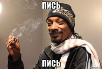 пись пись