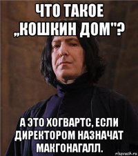 что такое ,,кошкин дом''? а это хогвартс, если директором назначат макгонагалл.