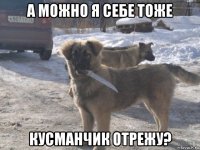 а можно я себе тоже кусманчик отрежу?